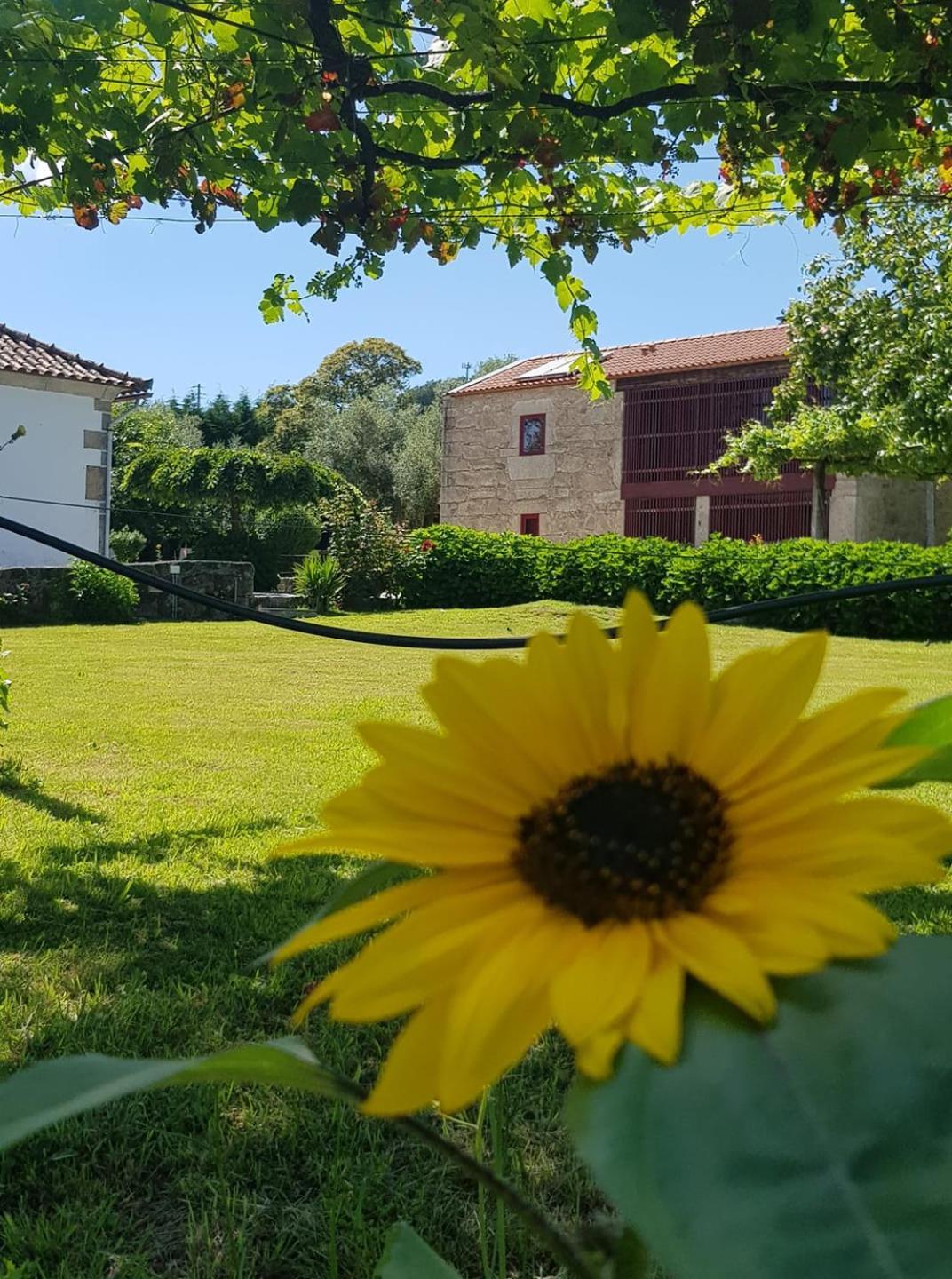 Casas Da Quinta Da Cancela Balugães Esterno foto